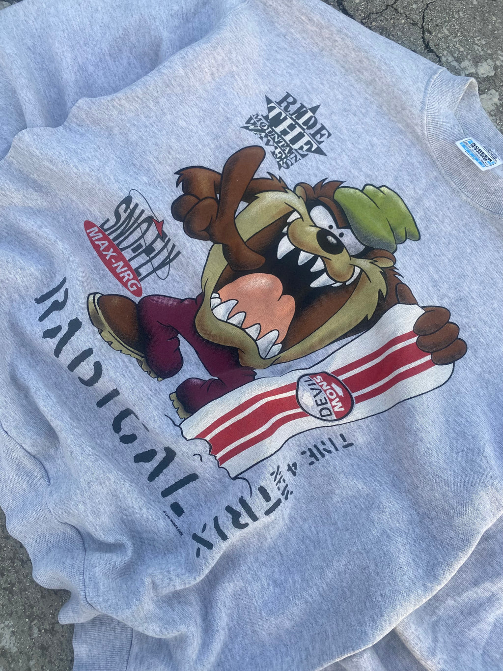 1990’S VINTAGE “TAZ” GREY CREWNECK (L)