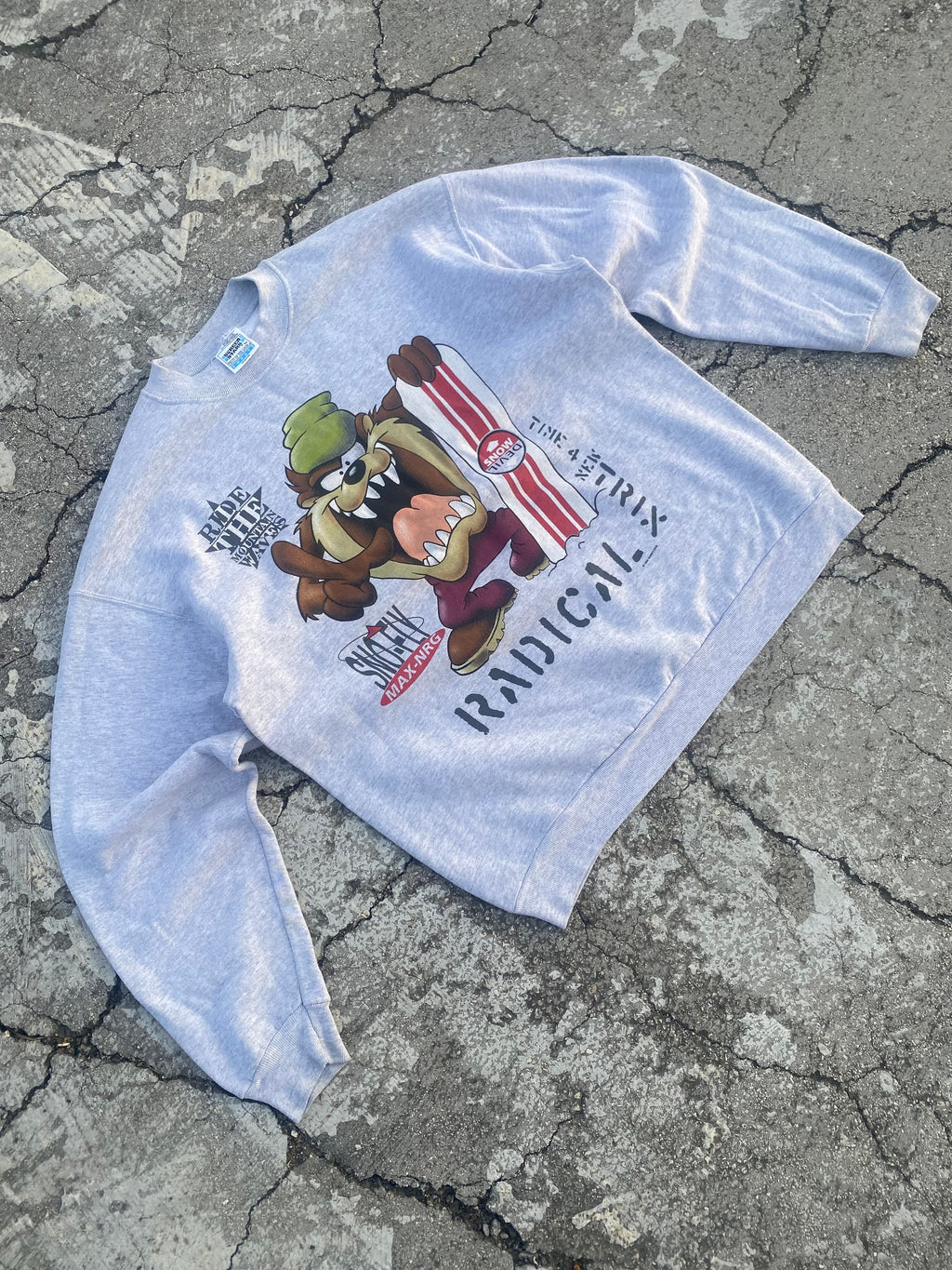 1990’S VINTAGE “TAZ” GREY CREWNECK (L)