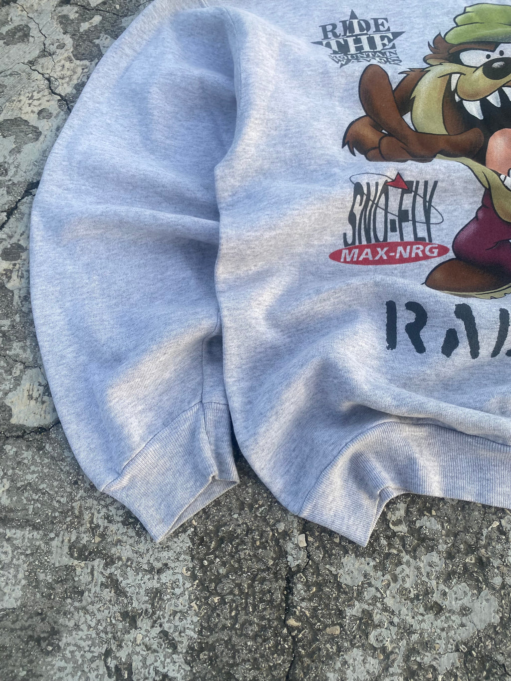 1990’S VINTAGE “TAZ” GREY CREWNECK (L)