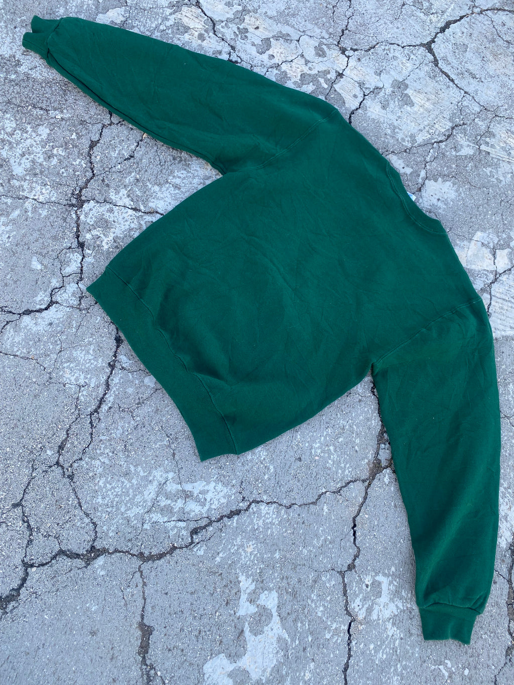 2000’S RUSSELL ATHLETIC PINE BLANK CREWNECK (XS)